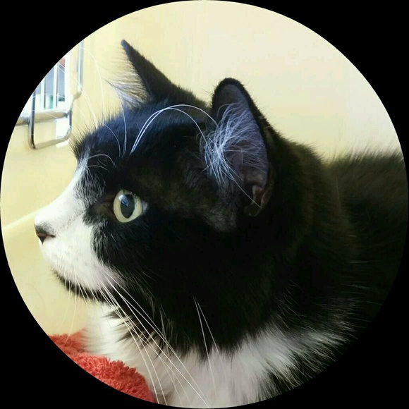 Meet your Posher, Cathy - Picture 1 of 1